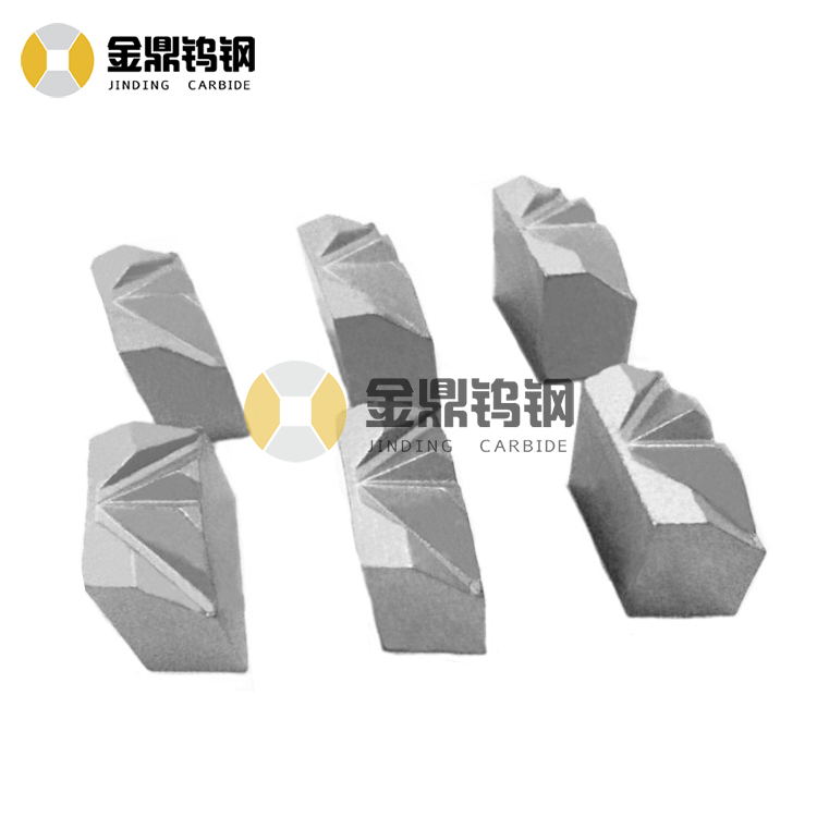 Zhuzhou Supplier Tungsten Carbide Nail Cutting Die, High Quality Cemented Carbide Wear Mold, Custom Carbide Nail Die for Nuts
